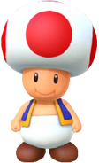 Toad: The most common enemy in the game. They run around. That's it.