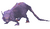 Giant Rat