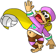 Dixie Kong Spikers