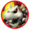 Dry Bowser