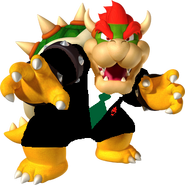 Bowsermanager