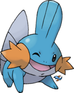 Mudkip Water Type