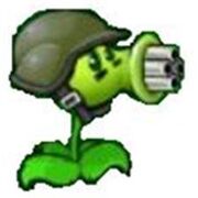 Gatling pea