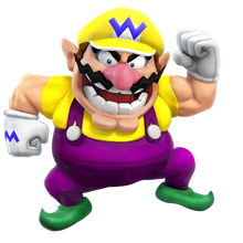 Chr 13 wario 05