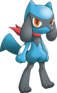 Riolu