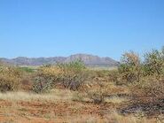 Sonoran Desert, Arizona