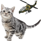 Nintendogs cat and helicopter