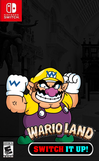 wario land shake it switch