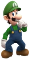 Luigi (Mario and Luigi Patners in Time pose).png (645 KB)