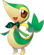 Bowtie Snivy