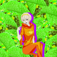 PT Rose LaLonde