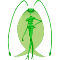 Pheromosa