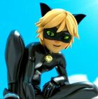 Cat Noir