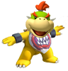 Bowser Jr SMHR