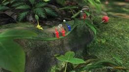 Pikmin Jungle