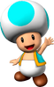 Cyan Toad NSMBVR