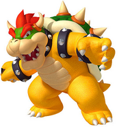 Bowser(*)