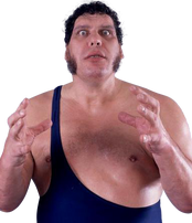 Andre the Giant-0