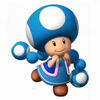 Blue Toadette: she can run faster but cannot jump very high.