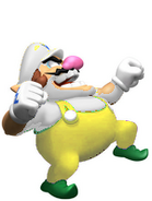 Fire Wario in the game