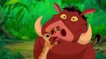 Timon & Pumbaa