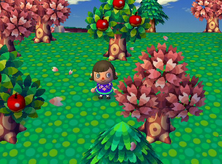 Animal Crossing Springtime