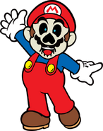 Dry Mario's offical art.