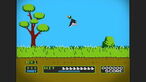 Duck Hunt