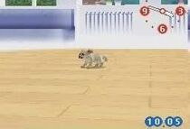 Nintendogs