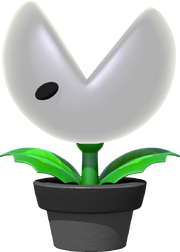Nipper Plant Potted.png