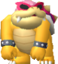 Roy Koopa NSMBW.png