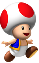 Toad NSMP