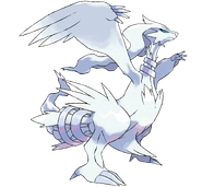 Reshiram (Unova Pokémon League)