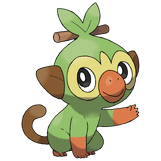 810Grookey