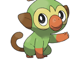 Grookey