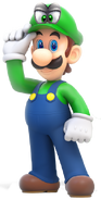 Helmer on Luigi's head