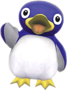 Pinguin: Cries, luring Big Pinguins.