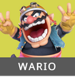 Wario SSBAether