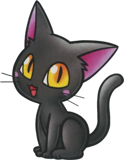 250?cb=20220831075628