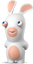 Rabbid