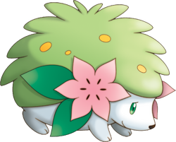 How to Change Shaymin to Sky Form – Pokémon Brilliant Diamond & Shining  Pearl Gracidea Flower 