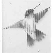 Joe Koopa (20 KB) The Patronus of Joe Koopa