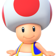 Toad