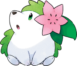 Shiny Shaymin (DP Sprite) Showcase  Mint green paints, Shiny pokemon,  Pokemon art