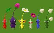 5 of the Canon and 1 of the Fanon Pikmin