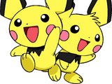 Pichu Bros.