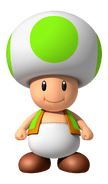 LimeToadFront