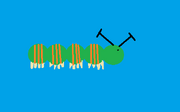 Catapillar