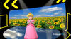 7march2017 peach sings sunflower