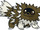 Zigzagoon